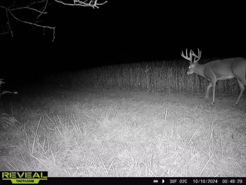 864049050361650-100-2-10102024004828-W1006135