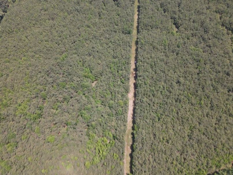 Copy of DJI_0886