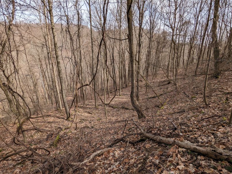 PXL_20230301_163707133