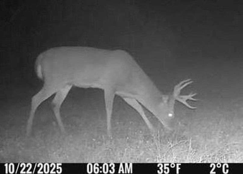 AF61066A-06BA-429F-A702-C49C4451477E_4_5005_c