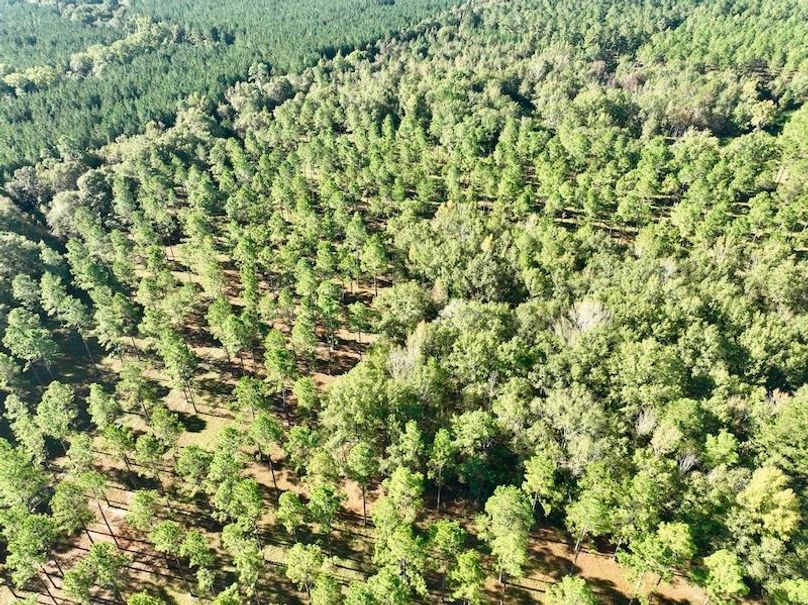 dji_fly_20251013_100706_285_1760364562759_photo