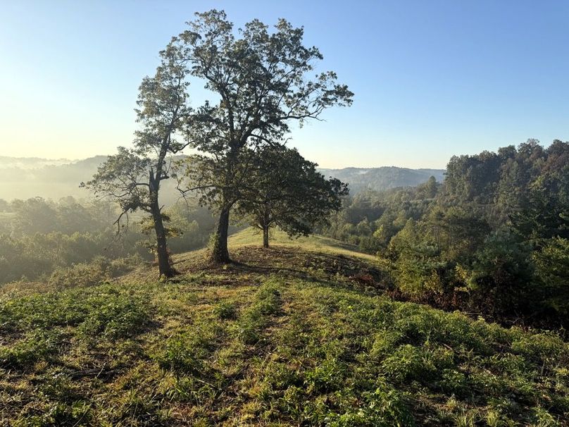 019 Scenic overlook captures rolling hills, mature hardwoods, and peaceful seclusion.