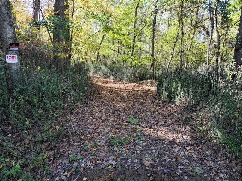 Copy of DJI_20251031133950_0787_D