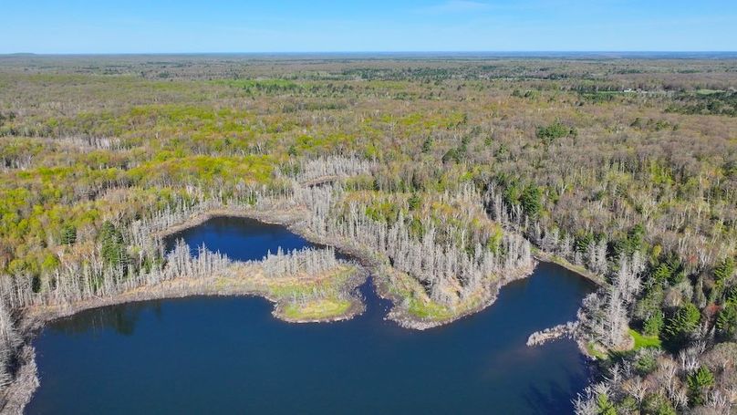 DJI_20260521065601_0036_D
