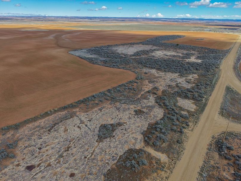 DJI_20260307124559_0078_D