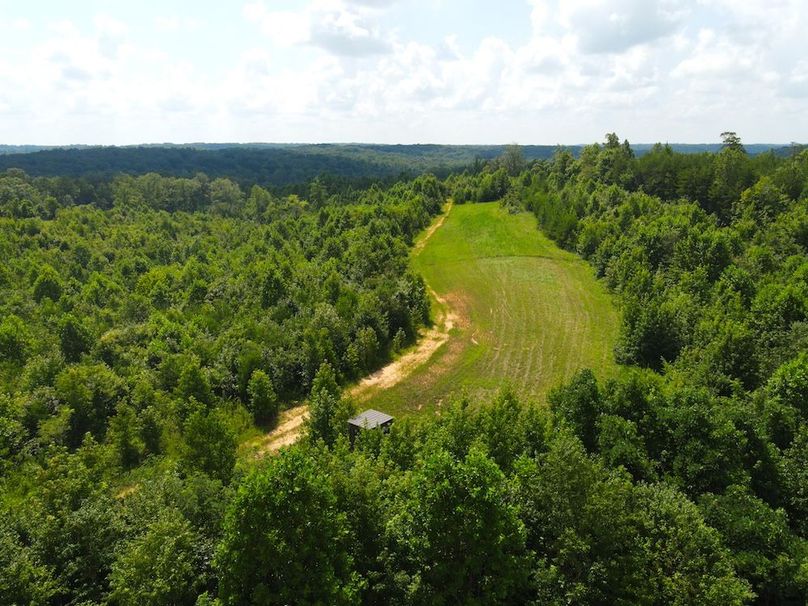 dji_fly_20250729_113130_823_1753803112120_photo