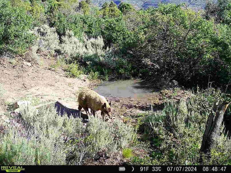 860516060007964-100-2-07072024084846-V-W1001842