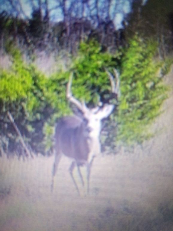 Resized_20221101_163442