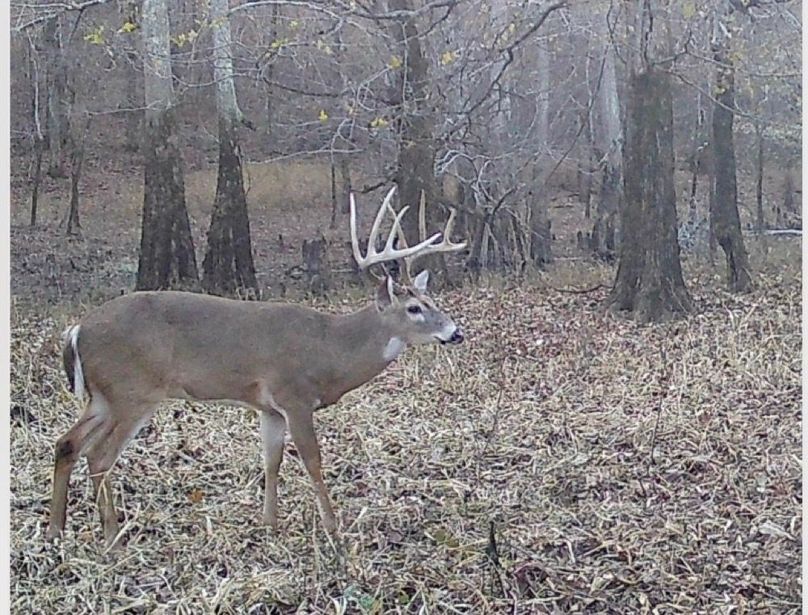 Screenshot 2025-11-06 at 4.15.40 PM