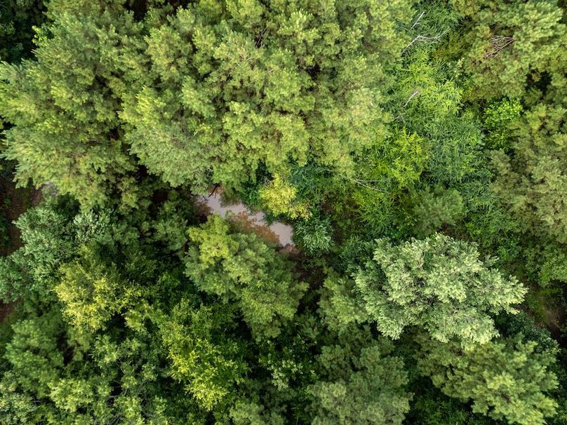 8 Panola Co. 40ac - Rouse-39