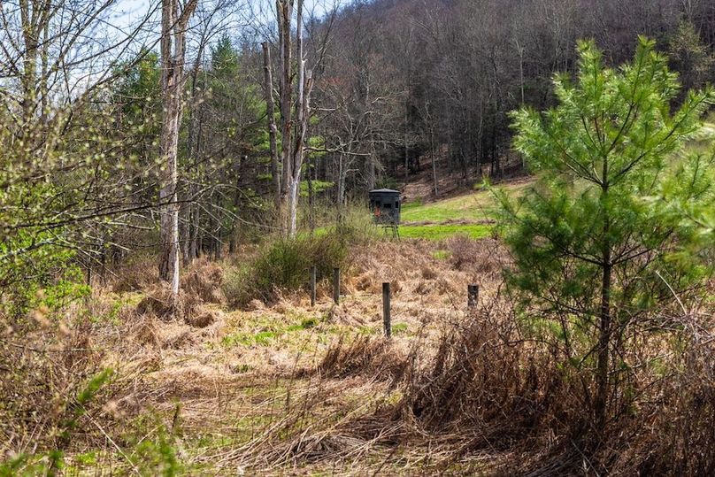 34-web-or-mls-IMG-34