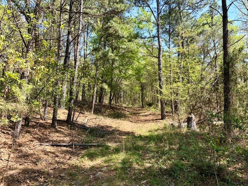 E32C8E76-1859-49C0-B112-275CAF49F621_1_105_c