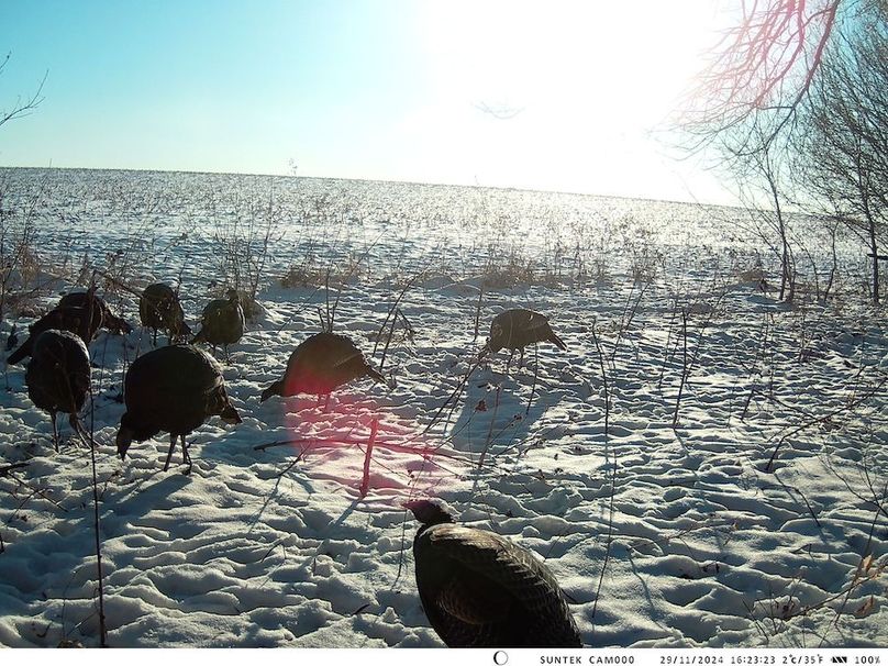 2024-1129-162324_000426