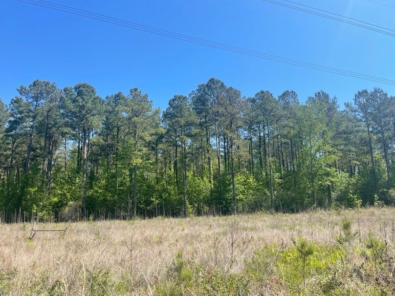 86C98D35-1C00-4E7F-8257-75DED63AE0D3_1_105_c