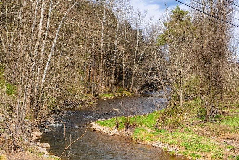 25-web-or-mls-IMG-25