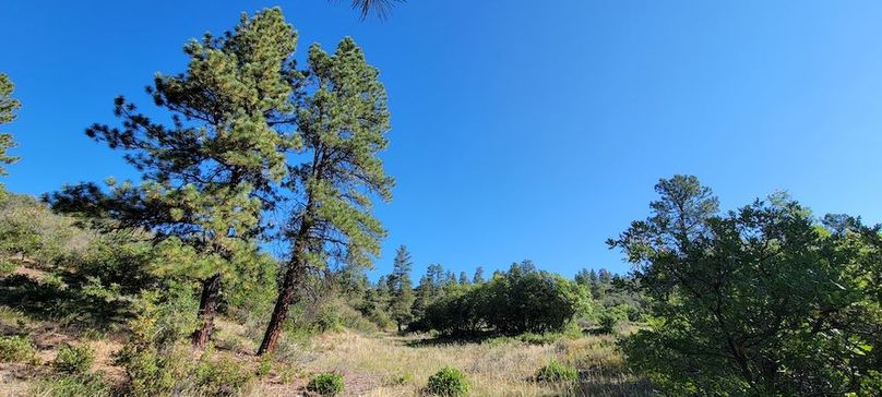 Copy of 20210827_091002