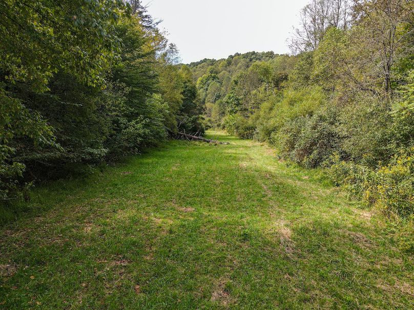 dji_fly_20240913_115954_813_1726243203817_photo