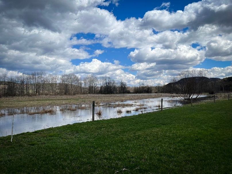 Tioga__NY_109.7_Burris_Photos_46