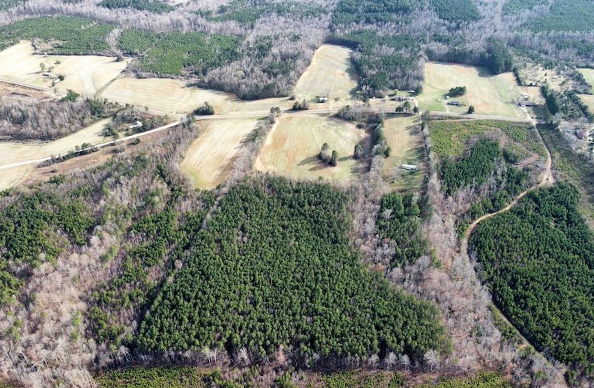 dji_fly_20250319_164646_443_1742417213706_photo_optimized