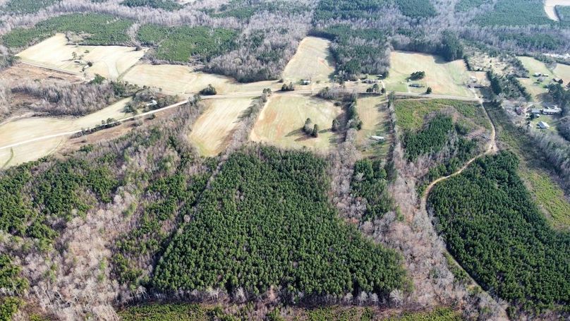 dji_fly_20250319_164646_443_1742417213706_photo_optimized