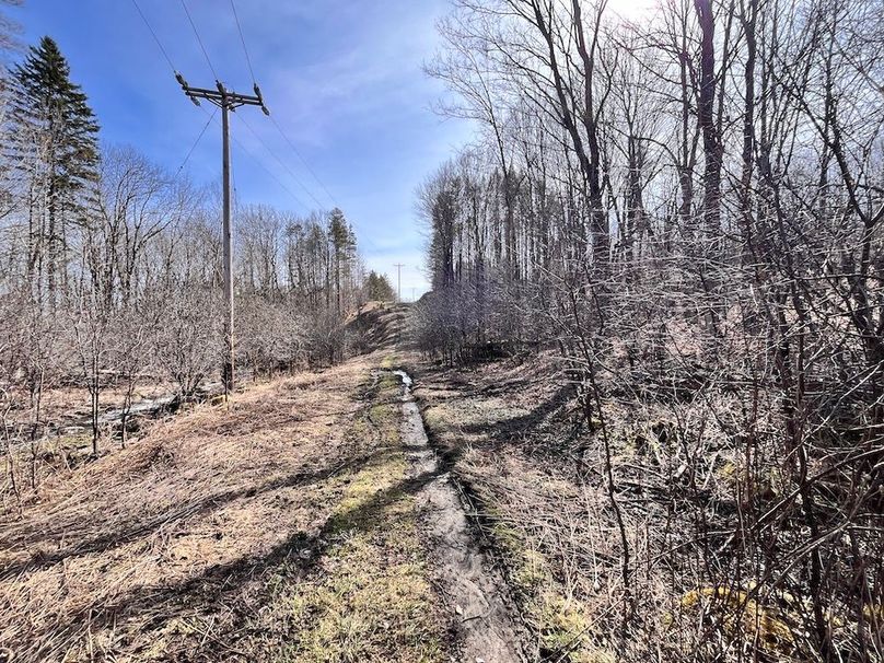 Lewis_26_Somberg Photo 33