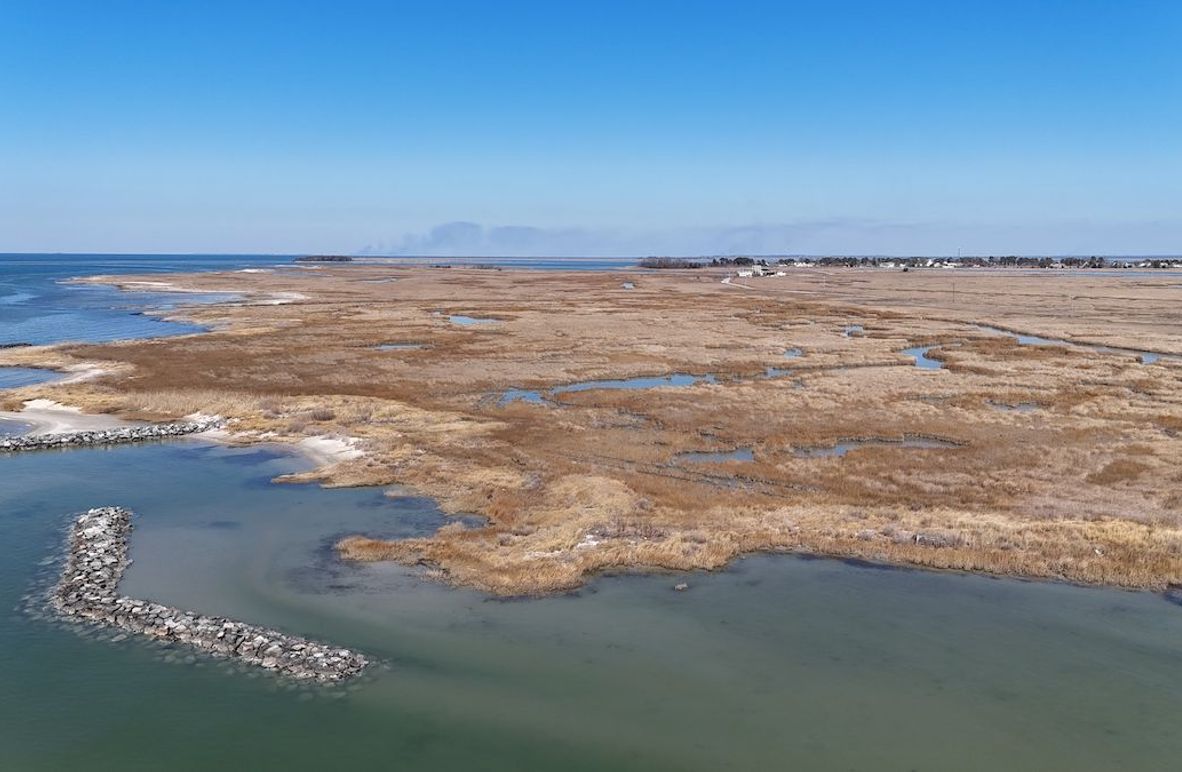 First Picture_dji_fly_20250303_125322_0025_1741039481076_photo