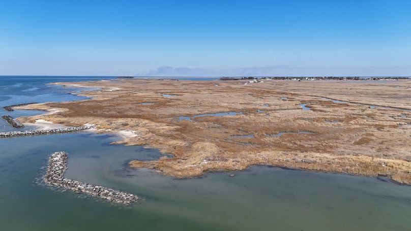 First Picture_dji_fly_20250303_125322_0025_1741039481076_photo