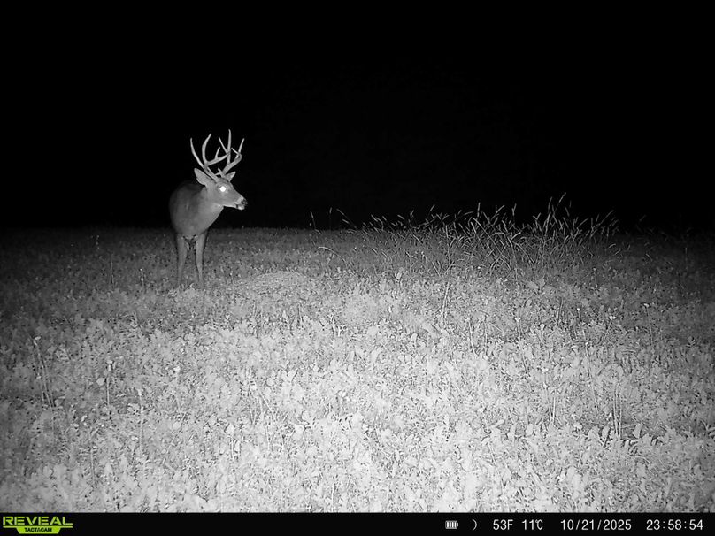 864049058814197-100-4-10222025173942-HD-SYFW9730