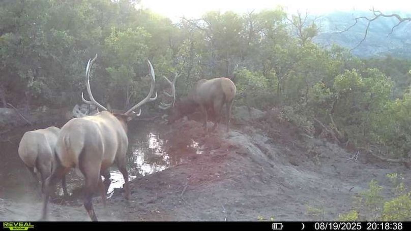 016578004083249-37-3-08192025201838-V-SYFW00048