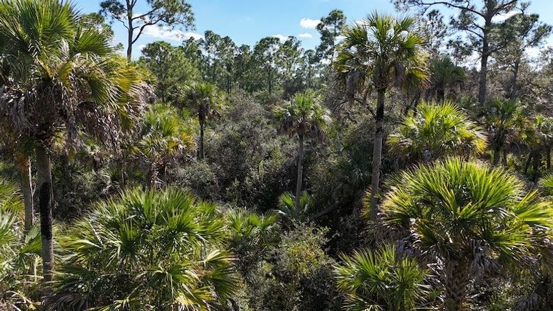 DJI_20251121124807_0033_D