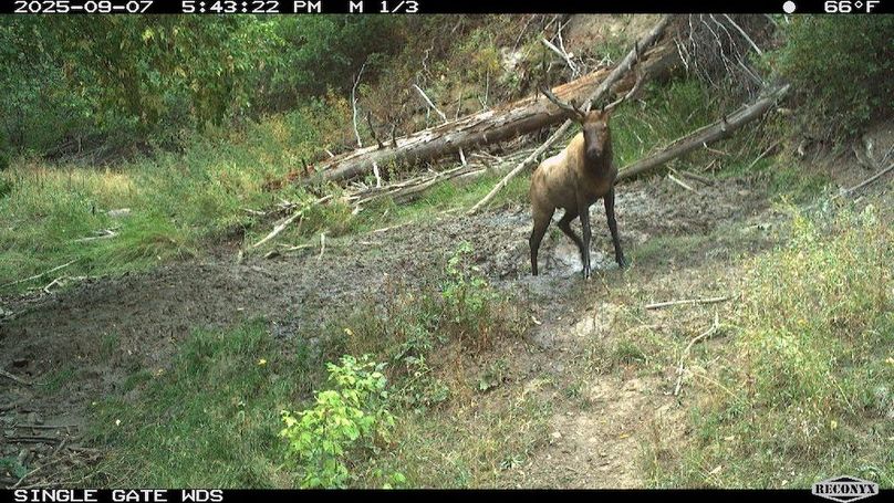 68BDEDD3-A572-4861-BB50-049D22B36D32