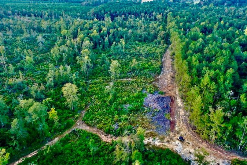 EE776CD3-7B9E-4DA4-AF91-5F53FF4FD334_1_105_c