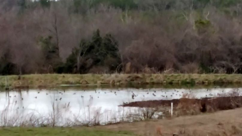 IMG_20170203_161523587_HDR