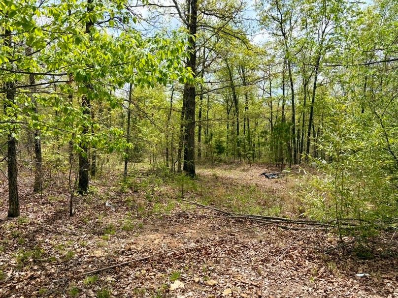 24980B99-AC09-4718-9AC1-FAD78E299780_1_105_c-2