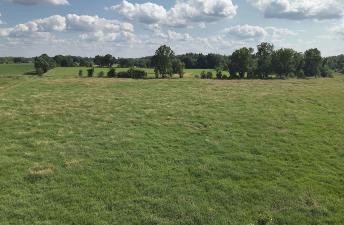 DJI_20250702051553_0007_V