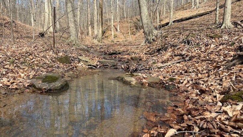 Butler 118 Capella15