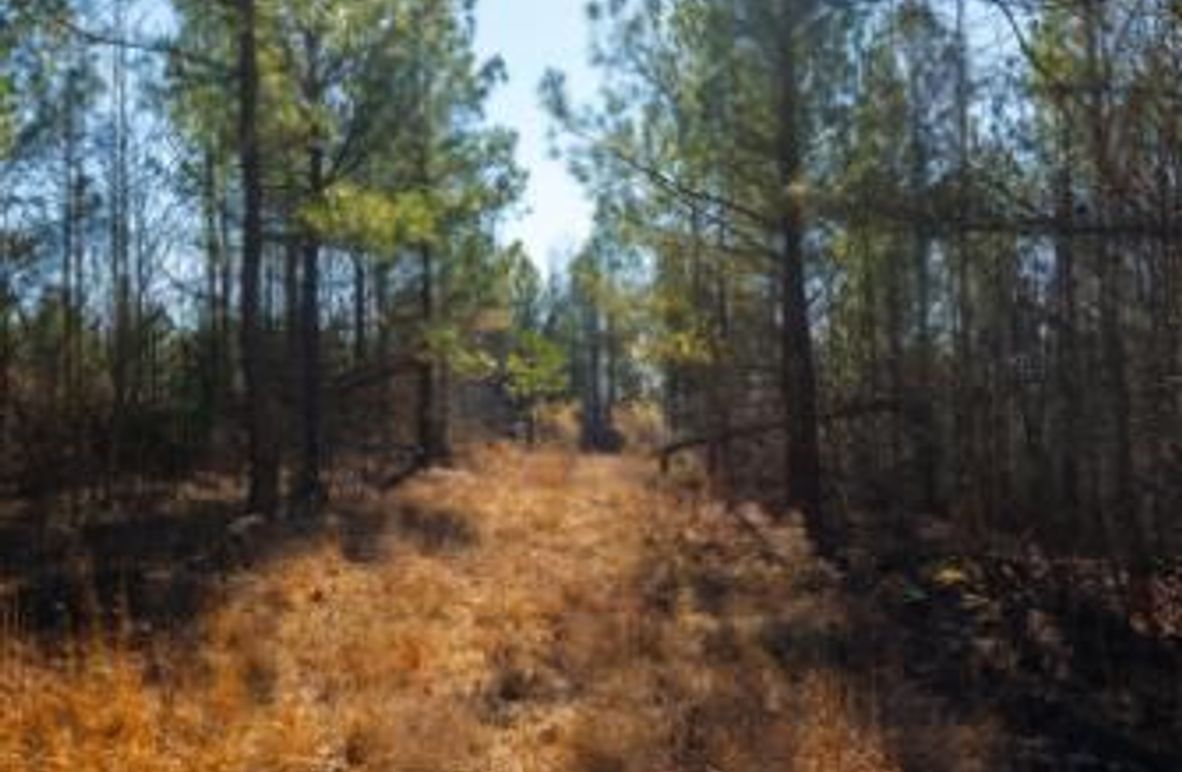 MCKINNON TRACT 29-05