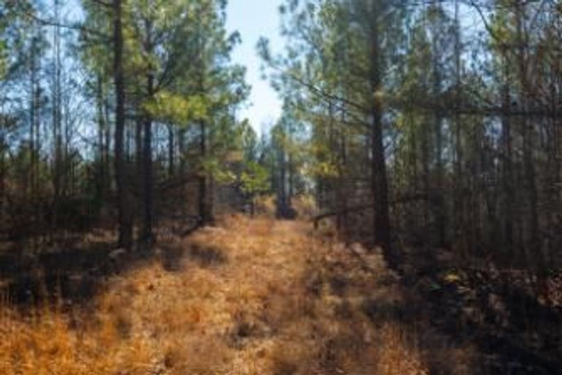 MCKINNON TRACT 29-05