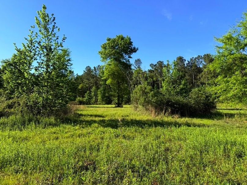 7D237D93-EE21-40FA-B5FA-BA7C2246C53B_1_105_c