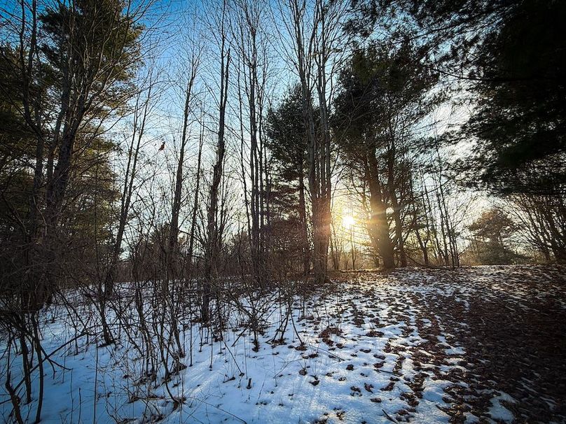 Seneca_43_Hohwald_Photos_26