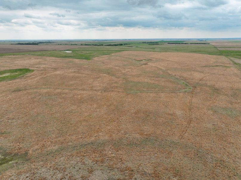 dji_fly_20240515_124512_224_1715795890368_photo