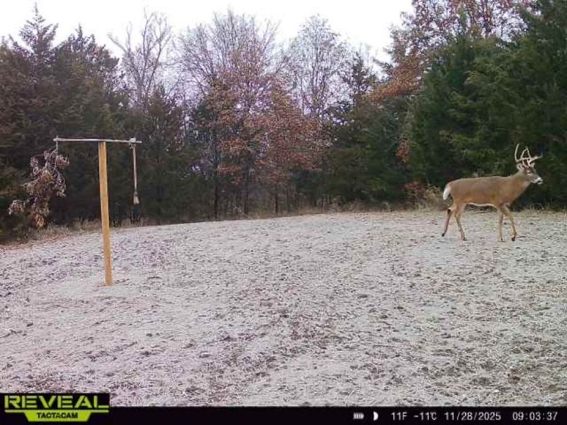 865814042182525-100-2-11282025090336-W1002089