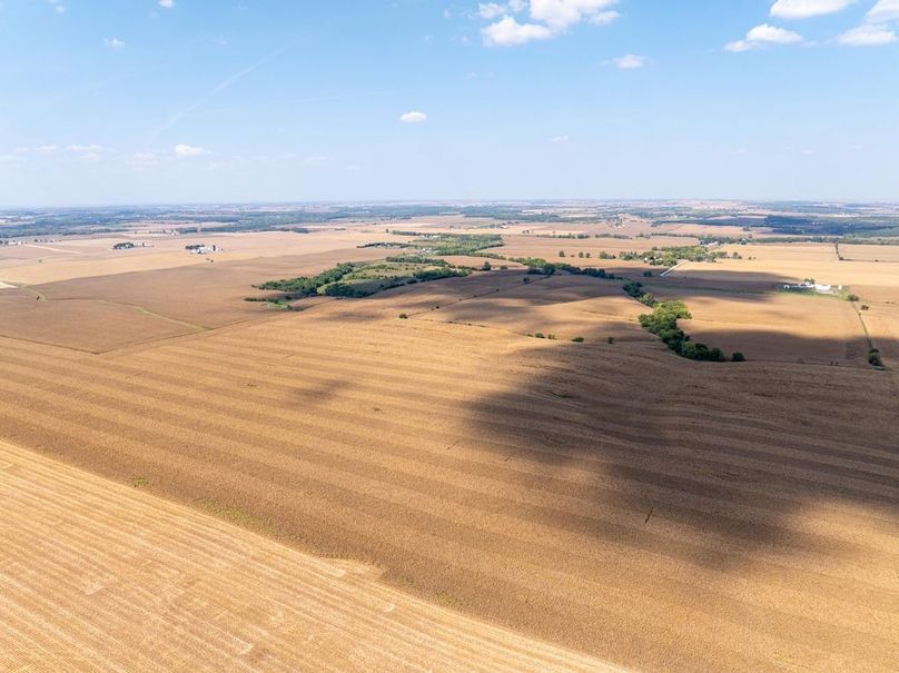 Copy of Whiteside 181_18