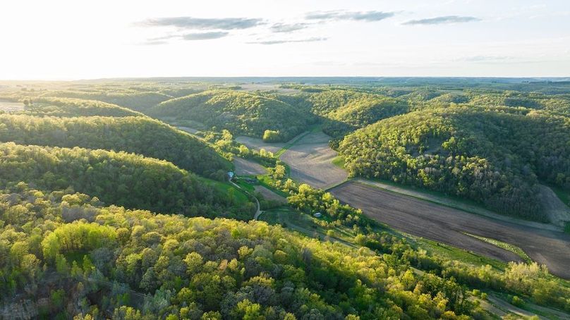 DJI_0367