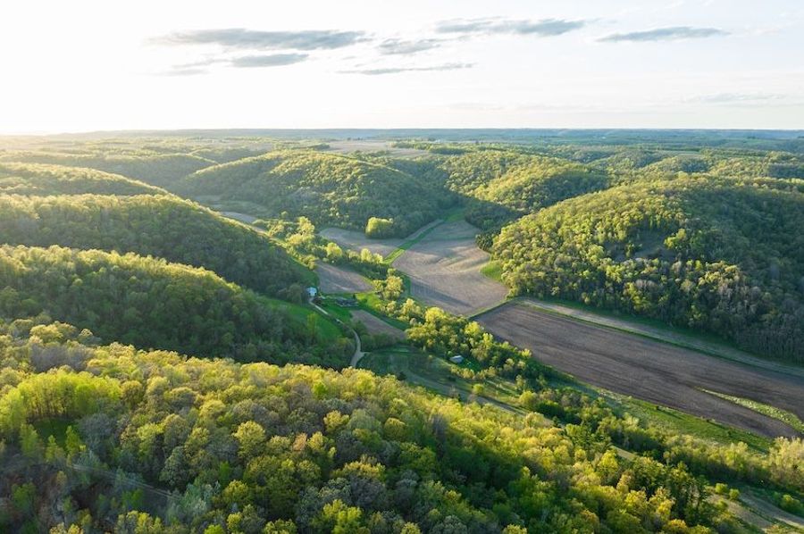 DJI_0367