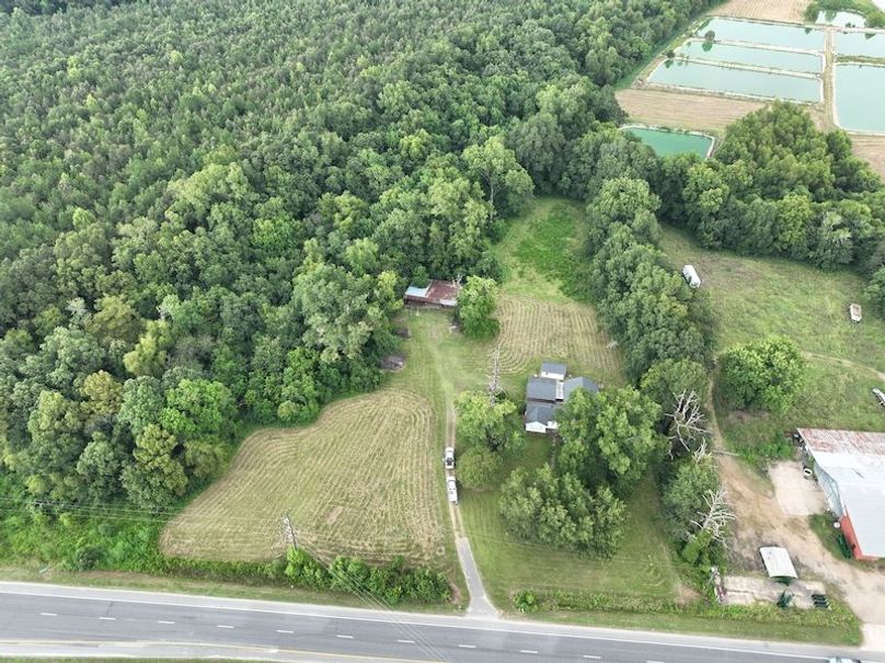 dji_fly_20250828_164206_147_1756499630203_photo