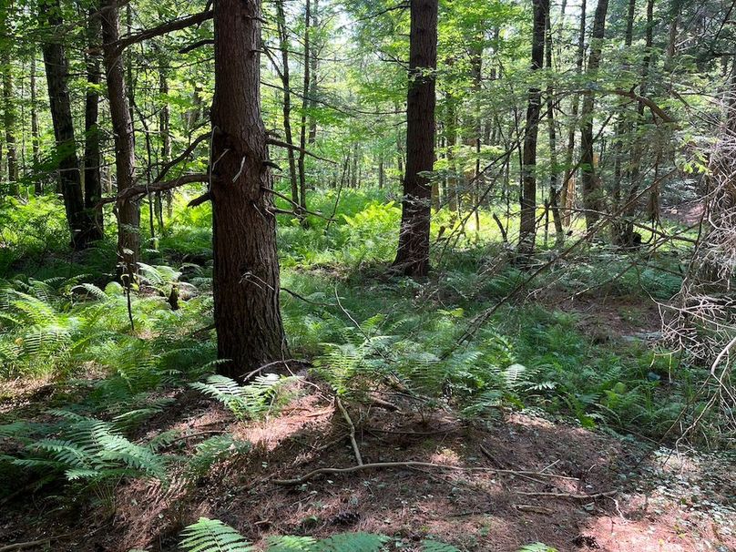 Oswego_24_Frank Photo 47