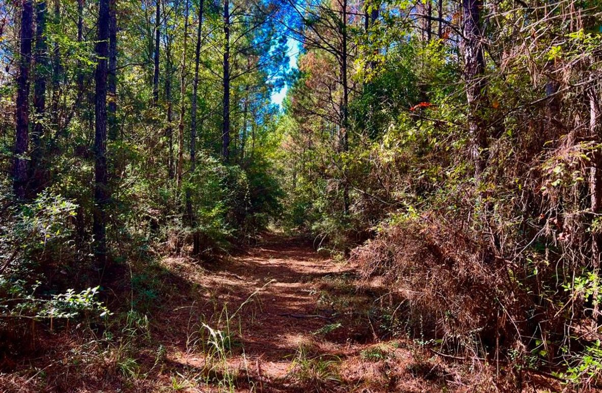 0EA49C5B-590E-44F3-81D7-FFC6E7C1CE1E_1_201_a