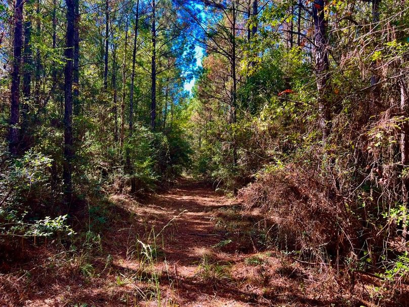 0EA49C5B-590E-44F3-81D7-FFC6E7C1CE1E_1_201_a