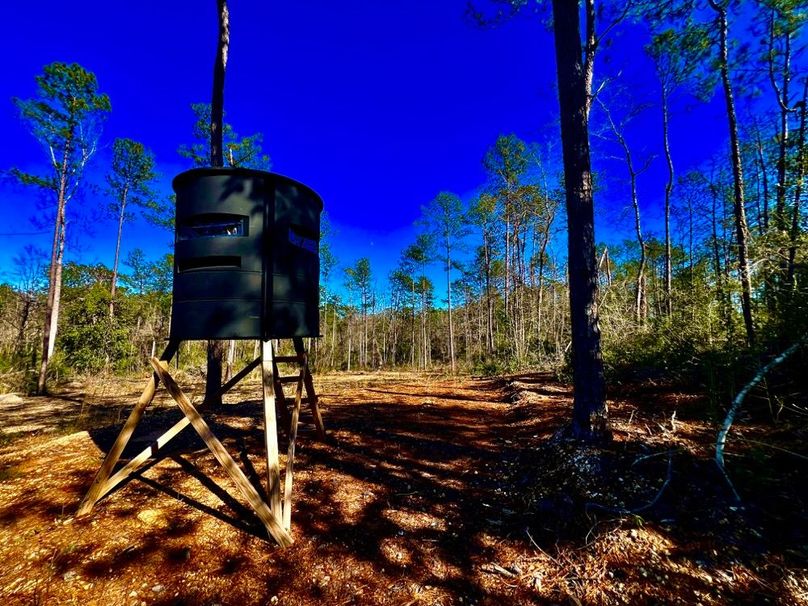 E650DB9A-8AAC-4F5A-8B95-34B388891A09_1_201_a